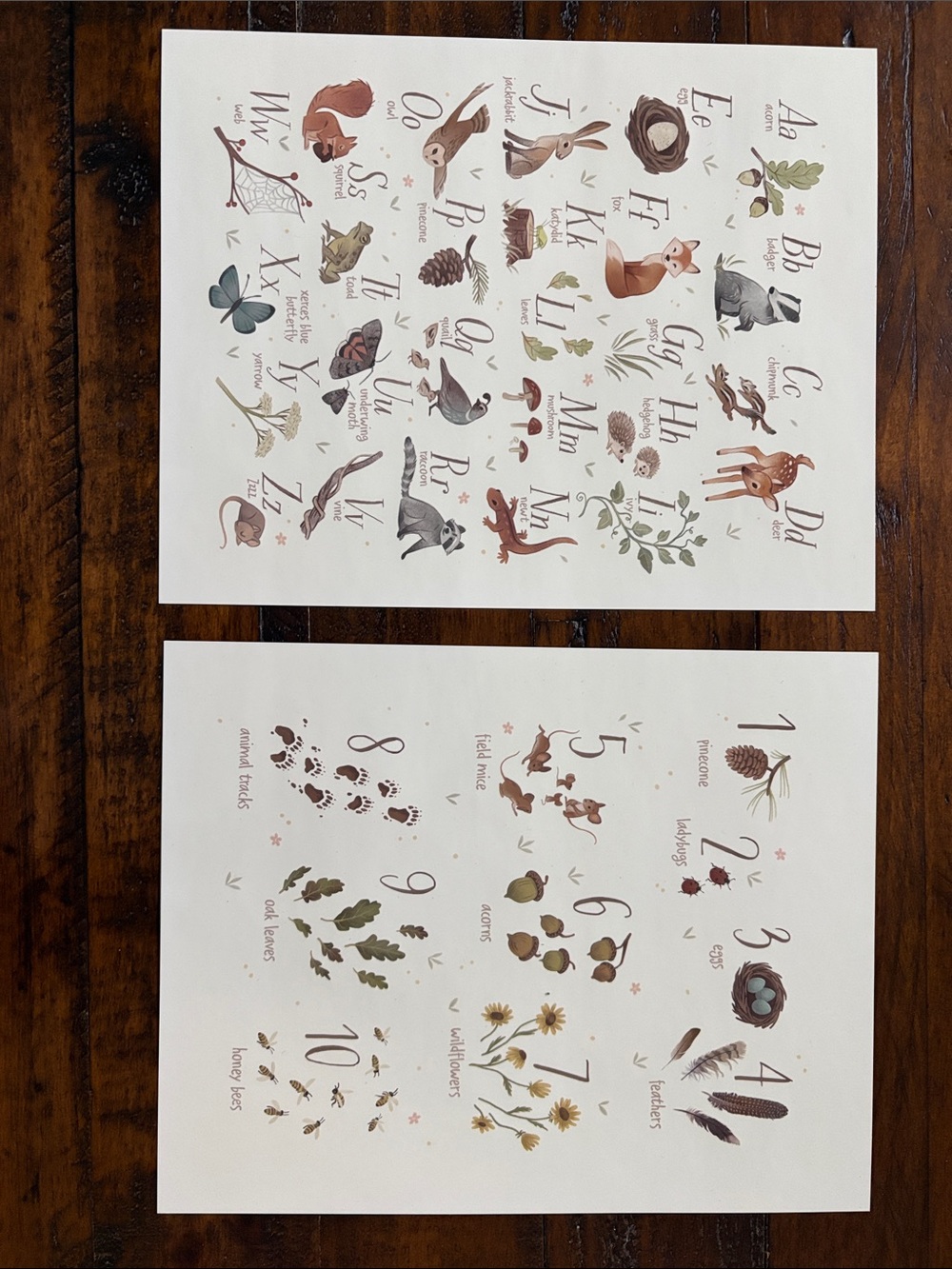 Woodland theme prints